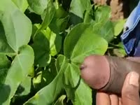 Cock worm - Extrem Sex and Taboo Porn.