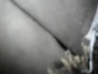 ApornTV Page 246 XXX Tube, Beastiality, Zoo Porn, AnimalSex