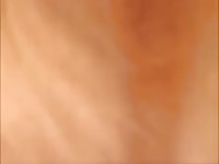 dogsex12