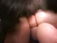 dogsex20