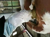My job