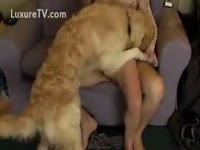 A couple fucking and their dog - Zoo Porn Dog Sex, Zoophilia