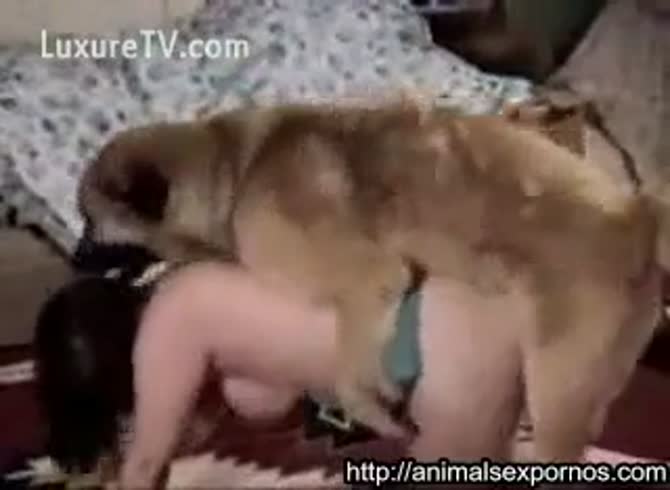 Making love with her dog Dog Wants To Make Love With His Owner Zoo Porn Dog Sex Zoophilia