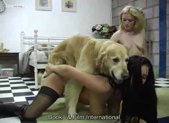 Porn video for tag : Teen girl gets creampied by huge dog cock