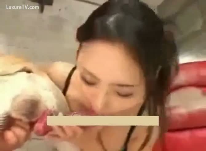 Girl Plays With Dog Cock - Pretty Girl Plays wishes Two Dog Cocks - Zoo Porn Dog Sex, Zoophilia