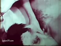 zoo  vintage - Zoo Porn Dog Sex
