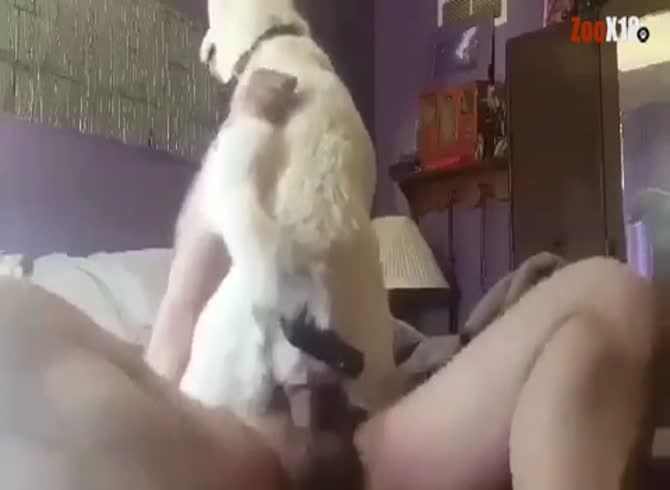 Puppy rides masters cock - Zoo Porn Dog Sex, Zoo Porn Men, Zoophilia