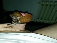 Slugs from garden on my cock