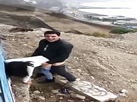 Big cock 