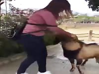 Horny goat hump babe