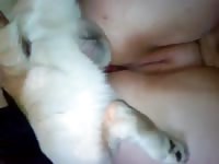 23 Knot for chubby