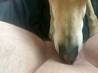 ftm teen licked by dog