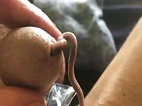 Worm in my cock