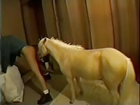 Animal horse porno video