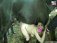 girl fuck with stallion