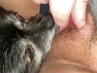 Eating deep as I cum