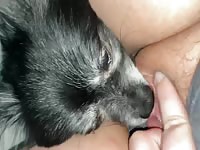 Buddy eats cum