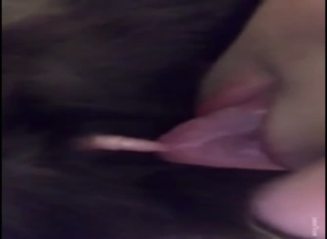 Girl sucking Cat Penis Licking Cats Pussy photo