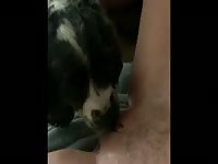索菲无码