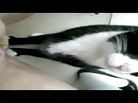 Cat licks Pussy Cat licks Teen Girl masturbating with Cat 2
