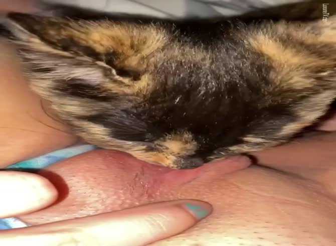 Cat Licks Man Dick - Cat licks Pussy Cat licks Teen Girl masturbating with Cat 4 - Zoophilia