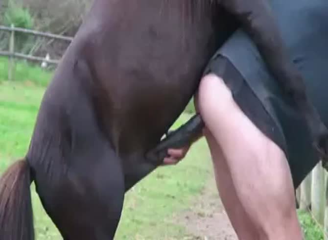 horse fucks man and fills his ass with cum - Zoo Porn Horse Sex, Zoo Porn  Men, Zoophilia