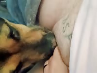 Who's a Good Boy?!