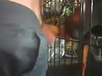 Peanut butter - Extrem Sex and Taboo Porn.