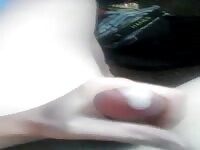 I think about my dog while I cum