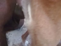 Fucking my bitch
