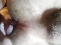 . - Extrem Sex and Taboo Porn.