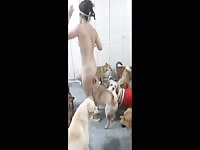 Chinese girl fuck with many dogs