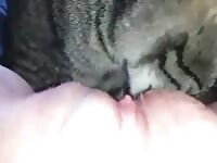 pussy licking til she squirts