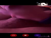 Webcam dog licks cock cum