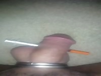 Cock slammin 
