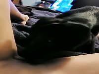 my dog lick and fucks me 