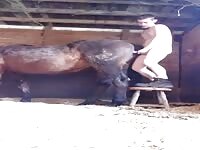 2 Horses 1 Girl Porn - Free Porn Video - Zoo Porn Horse Sex - ApornTV