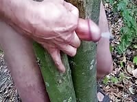 Fucking the crotch of a tree