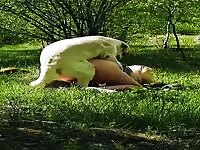 Female Alpha (Zoo PMV / Music Video)