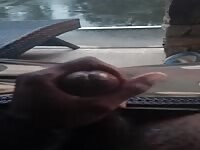 Solo dolo