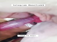 Sucking my dog's dick until the bottom