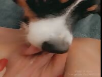 Pussy Licked Deep from Family Pup