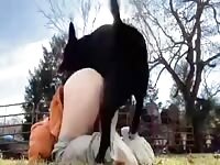 Girl loves having sex with her dog at the park