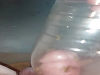 pain cbt insertion bdsm extrem pervers wasp sting cock 2
