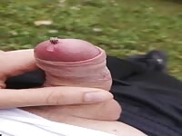 Flies taste a cock
