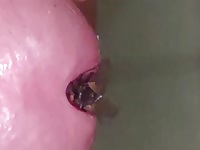 Fly lands perfectly in my cock