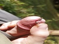 Flies taste my sweet cock