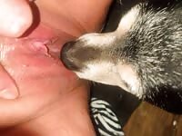 Good boy going even deeper 