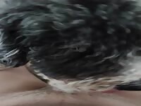 Dog licking boys dick