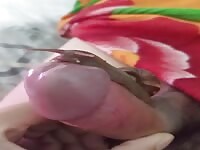 Snail sucking cock